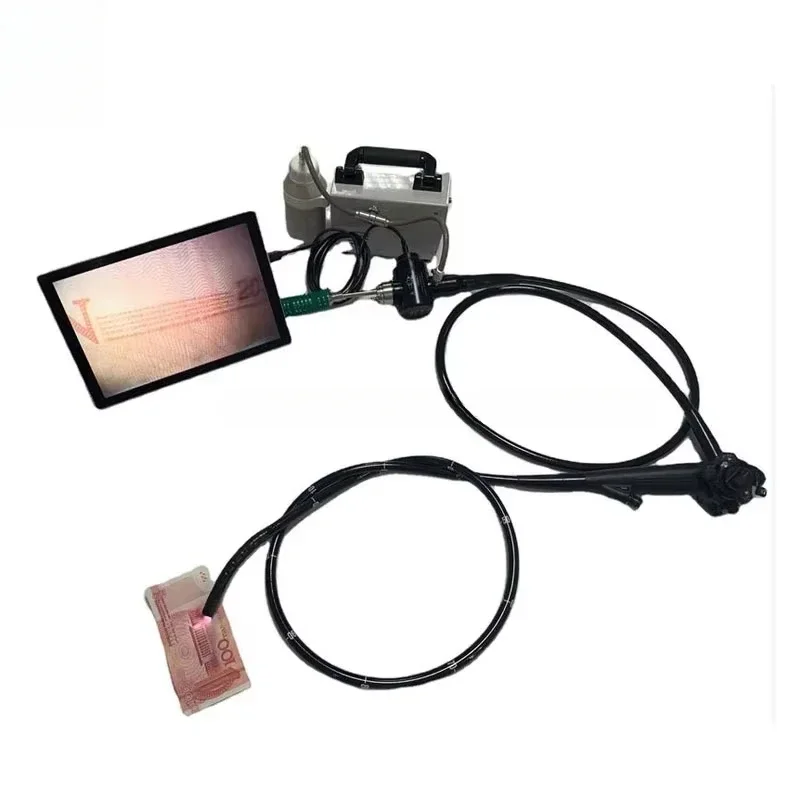 Endoscope vidéo vétérinaire po - Medical Lab Video avis et prix